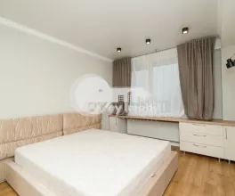 Квартира, Ботаника, ТРАНДАФИРИЛОР