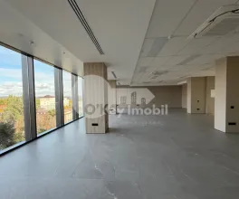 Oficiu, Centru, ȘTEFAN CEL MARE