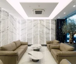 Oficiu, Centru, ȘTEFAN CEL MARE