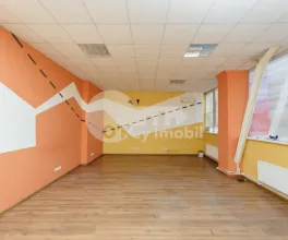 Офис, Ботаника, НИКОЛАЙ ЗЕЛИНСКИЙ