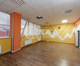 Офис, Ботаника, НИКОЛАЙ ЗЕЛИНСКИЙ