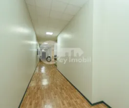 Офис, Ботаника, НИКОЛАЙ ЗЕЛИНСКИЙ