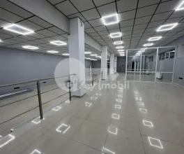 Офис, Ботаника, КУЗА ВОДЭ