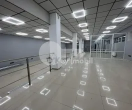 Офис, Ботаника, КУЗА ВОДЭ