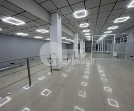 Oficiu, Botanica, CUZA VODĂ