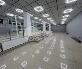 Офис, Ботаника, КУЗА ВОДЭ