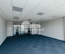 Офис, Центр, ШТЕФАН ЧЕЛ МАРЕ