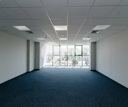 Oficiu, Centru, ȘTEFAN CEL MARE