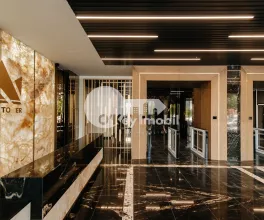 Oficiu, Centru, ȘTEFAN CEL MARE