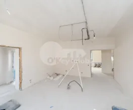 Casă, Codru, PLAIULUI