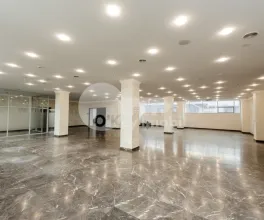 Oficiu, Centru, DIMITRIE CANTEMIR