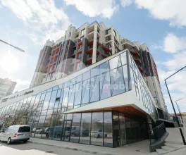 Офис, Чеканы, МИЛЕСКУ СПЭТАРУ