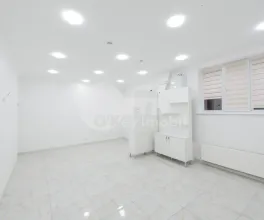 Spațiu comercial, Botanica, NIKOLAI ZELINSKI