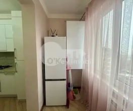 Квартира, Ботаника, ТУДОР СТРИШКЭ