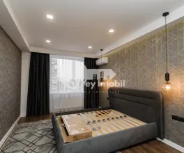 Квартира, Ботаника, ТРАНДАФИРИЛОР