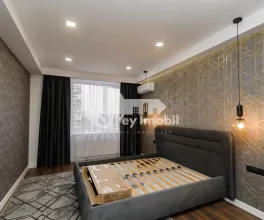 Квартира, Ботаника, ТРАНДАФИРИЛОР