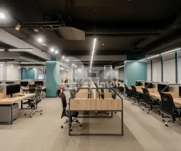 Oficiu, Botanica, CONSTANTIN BRÂNCUȘI