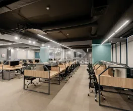 Oficiu, Botanica, CONSTANTIN BRÂNCUȘI