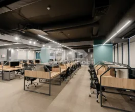 Oficiu, Botanica, CONSTANTIN BRÂNCUȘI