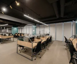 Oficiu, Botanica, CONSTANTIN BRÂNCUȘI