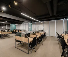 Oficiu, Botanica, CONSTANTIN BRÂNCUȘI