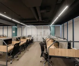 Oficiu, Botanica, CONSTANTIN BRÂNCUȘI