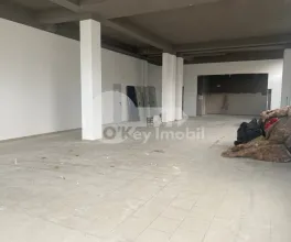 Комм. помещение, Центр, ВАСИЛЕ АЛЕКСАНДРИ