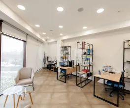 Офис, Центр, НИКОЛАЕ ТЕСТЕМИЦАНУ