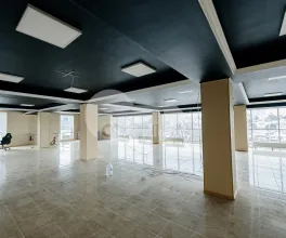 Spațiu comercial, Centru, MELESTIU