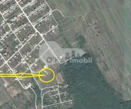 Земельный участок, КРИУЛЯНЫ