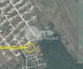 Земельный участок, КРИУЛЯНЫ