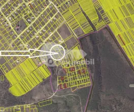 Земельный участок, КРИУЛЯНЫ