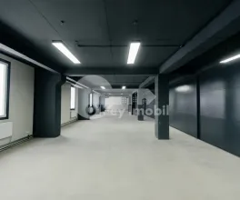 Spațiu comercial, Botanica, DACIA