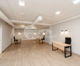 Офис, Центр, Центр, ВАСИЛЕ АЛЕКСАНДРИ