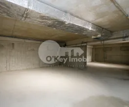 Комм. помещение, Рышкановка, АЛЕКУ РУССО