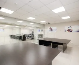 Офис, Ботаника, ДЕЧЕБАЛ