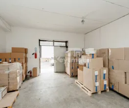 Depozit, Botanica, BUREBISTA