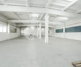 Склад, Ботаника, МУНЧЕШТЬ