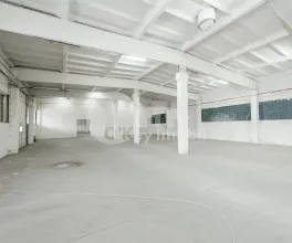 Склад, Ботаника, МУНЧЕШТЬ