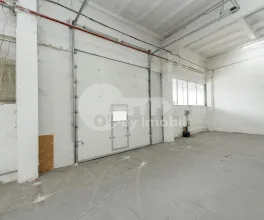 Склад, Ботаника, МУНЧЕШТЬ