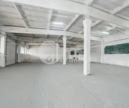 Склад, Ботаника, МУНЧЕШТЬ