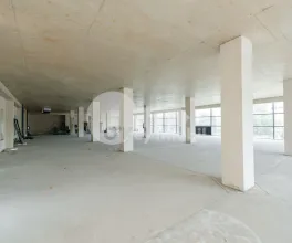 Spațiu comercial, Botanica, DACIA