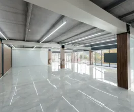 Oficiu, Botanica, CONSTANTIN BRÂNCUȘI