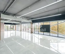 Oficiu, Botanica, CONSTANTIN BRÂNCUȘI