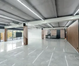 Oficiu, Botanica, CONSTANTIN BRÂNCUȘI