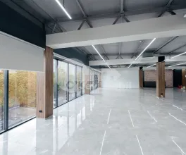 Oficiu, Botanica, CONSTANTIN BRÂNCUȘI