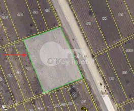 Teren, Buiucani, ȘOS. BALCANI