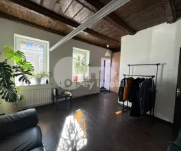 Spațiu comercial, Centru, ALEXANDRU LĂPUȘNEANU