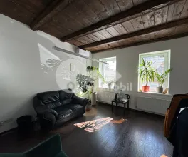 Spațiu comercial, Centru, ALEXANDRU LĂPUȘNEANU