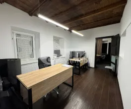 Spațiu comercial, Centru, ALEXANDRU LĂPUȘNEANU